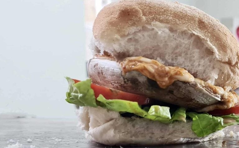 Chipotle mushroom burger, meat-free, vegetarian