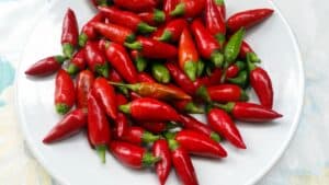 Calabrian peppers on a plate