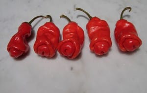 peter pepper
